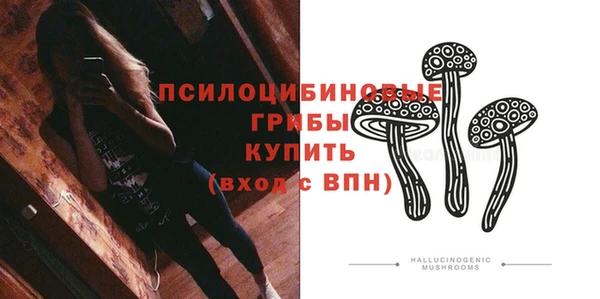 таблы Богданович